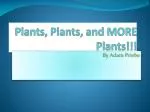 Plants, Plants, and MORE Plants!!!