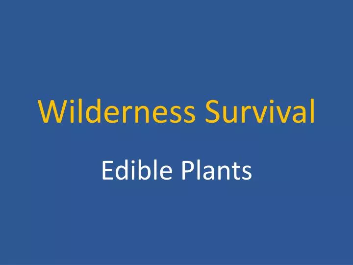 wilderness survival