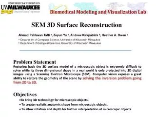 SEM 3D Surface Reconstruction