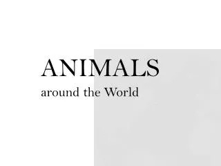 ANIMALS around the World