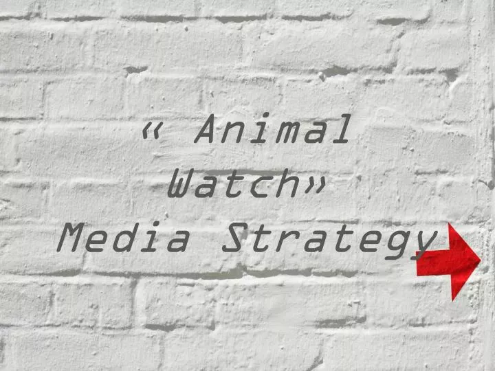 animal watch media strategy