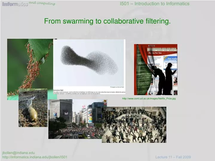 from swarming to collaborative filtering