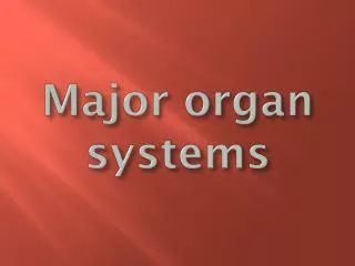 Major organ systems