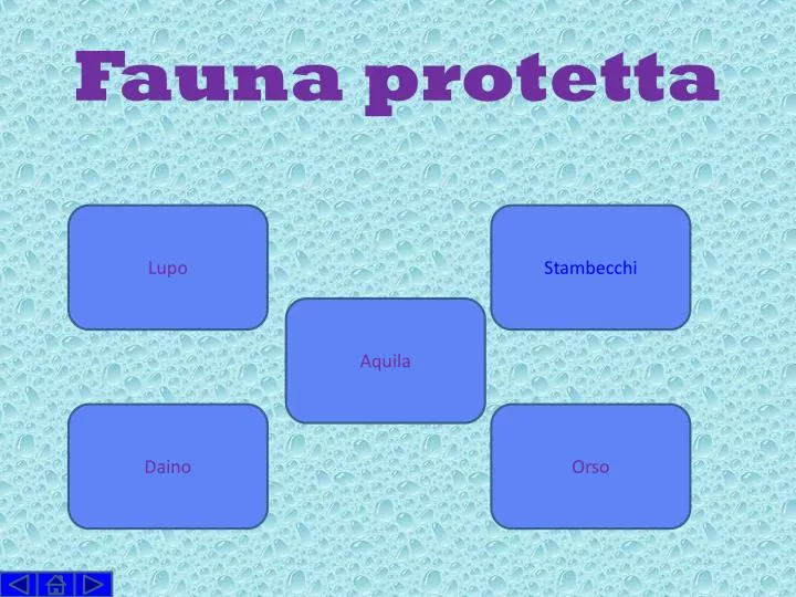 fauna protetta