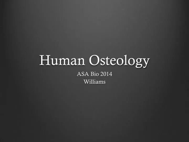 human osteology