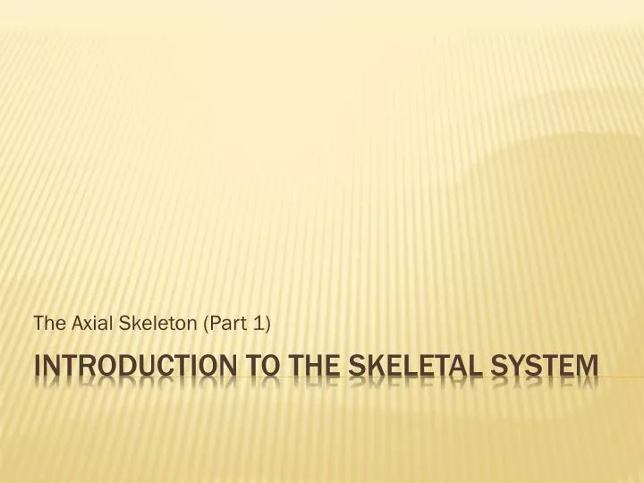 the axial skeleton part 1