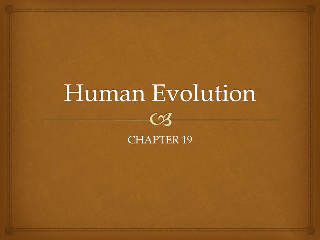PPT - Human Evolution PowerPoint Presentation, free download - ID:2109331