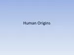 Human Origins - slide 1