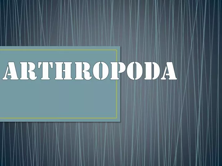 arthropoda