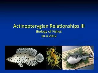 Actinopterygian Relationships III Biology of Fishes 10.4.2012
