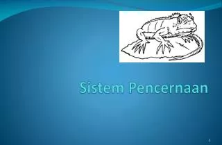 sistem pencernaan