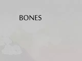 bones
