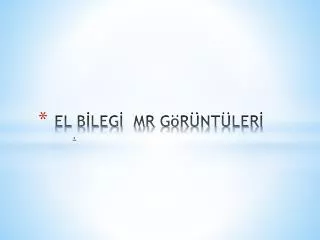 el b leg mr g r nt ler