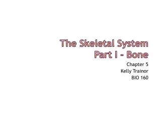 The Skeletal System Part I - Bone