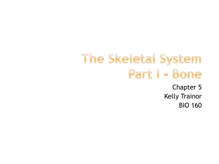 the skeletal system part i bone
