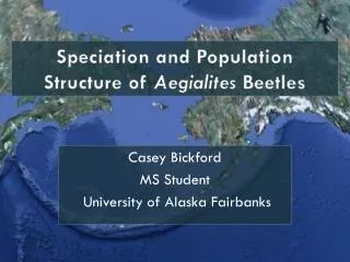 Speciation and Population Structure of Aegialites Beetles