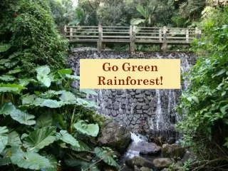 Go Green Rainforest!