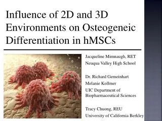 Influence of 2D and 3D Environments on Osteogeneic Differentiation in hMSCs