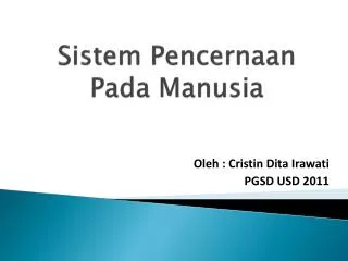 sistem pencernaan pada manusia