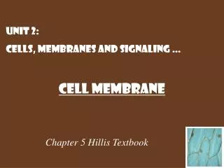 Chapter 5 Hillis Textbook