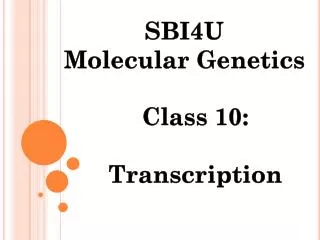 Class 10: Transcription