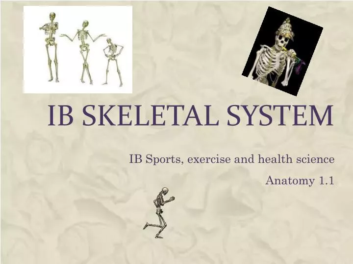 ib skeletal system