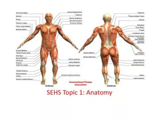 SEHS Topic 1: Anatomy