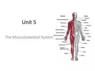 Unit 5