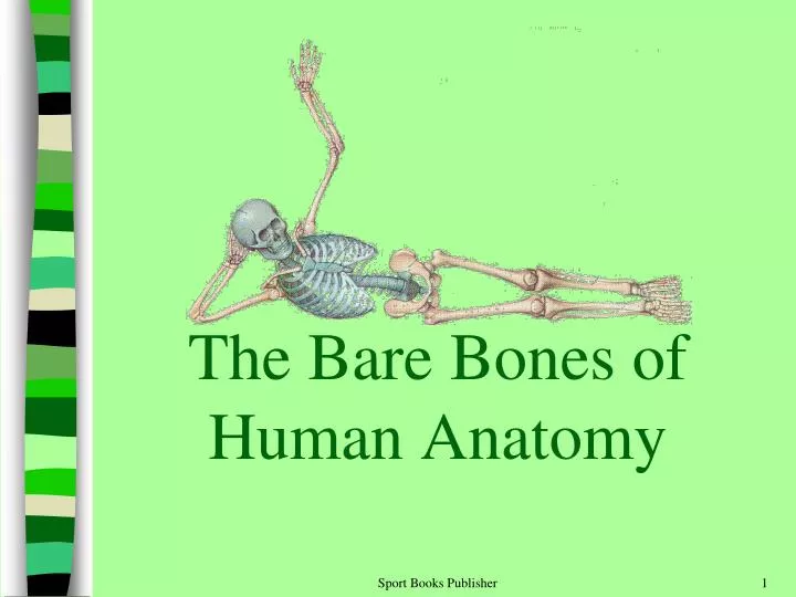 the bare bones of human anatomy