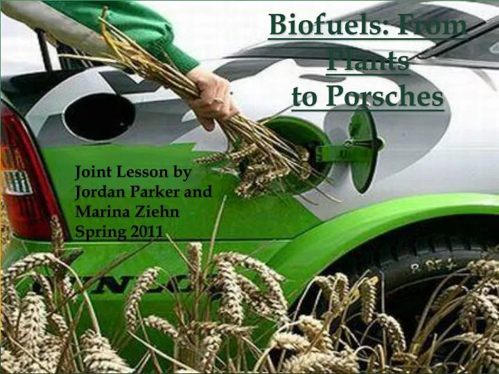 biofuels from plants to porsches