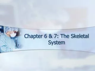 Chapter 6 &amp; 7: The Skeletal System