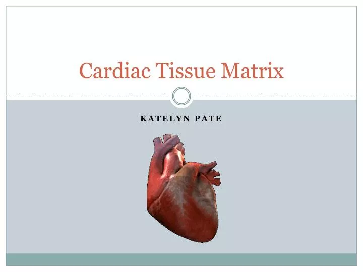 cardiac tissue matrix