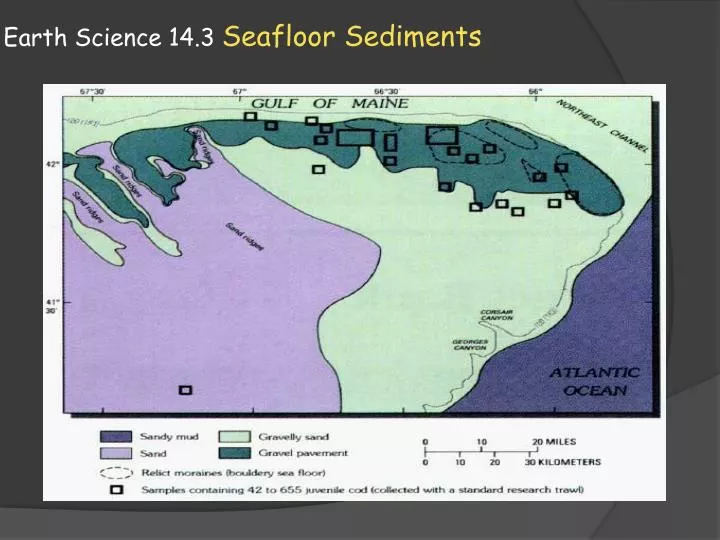 earth science 14 3 seafloor sediments