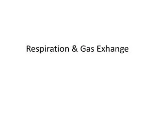 Respiration &amp; Gas Exhange