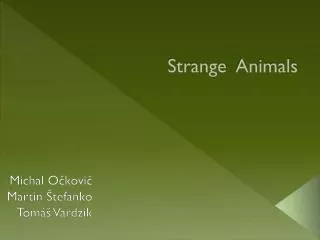 Strange Animals