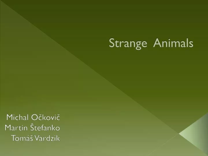 strange animals