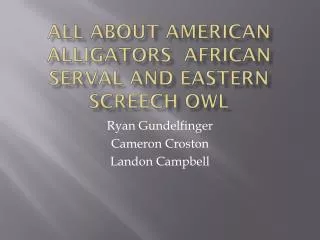All about American alligators African serval and Eastern screech owl