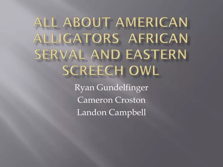 all about american alligators african serval and eastern screech owl