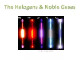 The Halogens &amp; Noble Gases