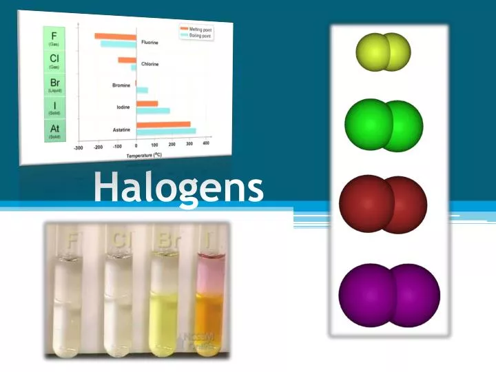 halogens