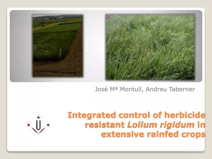 integrated control of herbicide resistant lolium rigidum in extensive rainfed crops