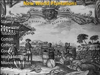 New World Plantations Colonialism Slavery Sugarcane Tobacco Cotton Coffee Cocoa World Markets