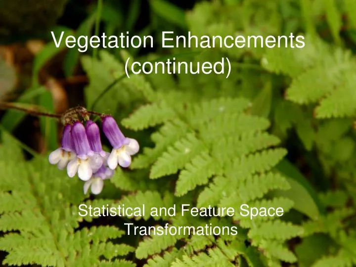 vegetation enhancements continued