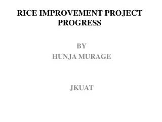 RICE IMPROVEMENT PROJECT PROGRESS