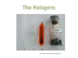 The Halogens