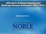 Xinbin Dai, Ph. D . - slide 1