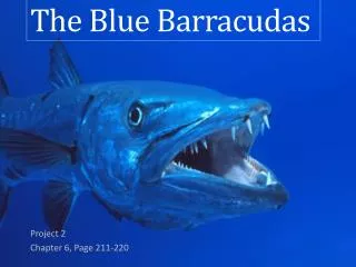 The Blue Barracudas