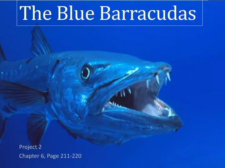 the blue barracudas