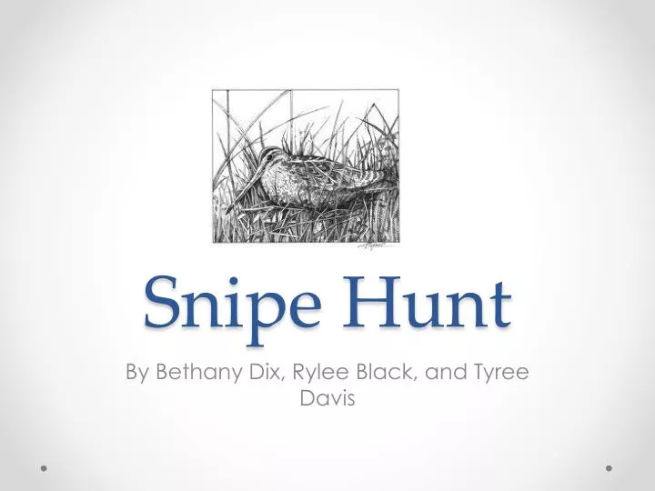 snipe hunt