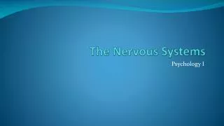 The Nervous Systems